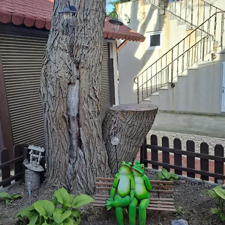 Casa Ancuta